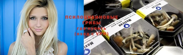 Альфа ПВП Гвардейск