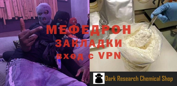 индика Гатчина