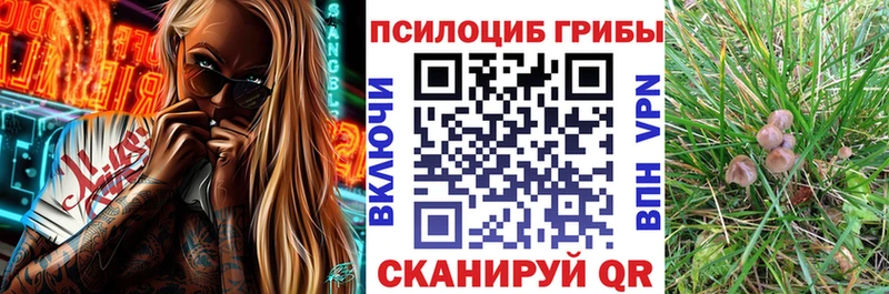 hydra   Данилов  Псилоцибиновые грибы MAGIC MUSHROOMS 